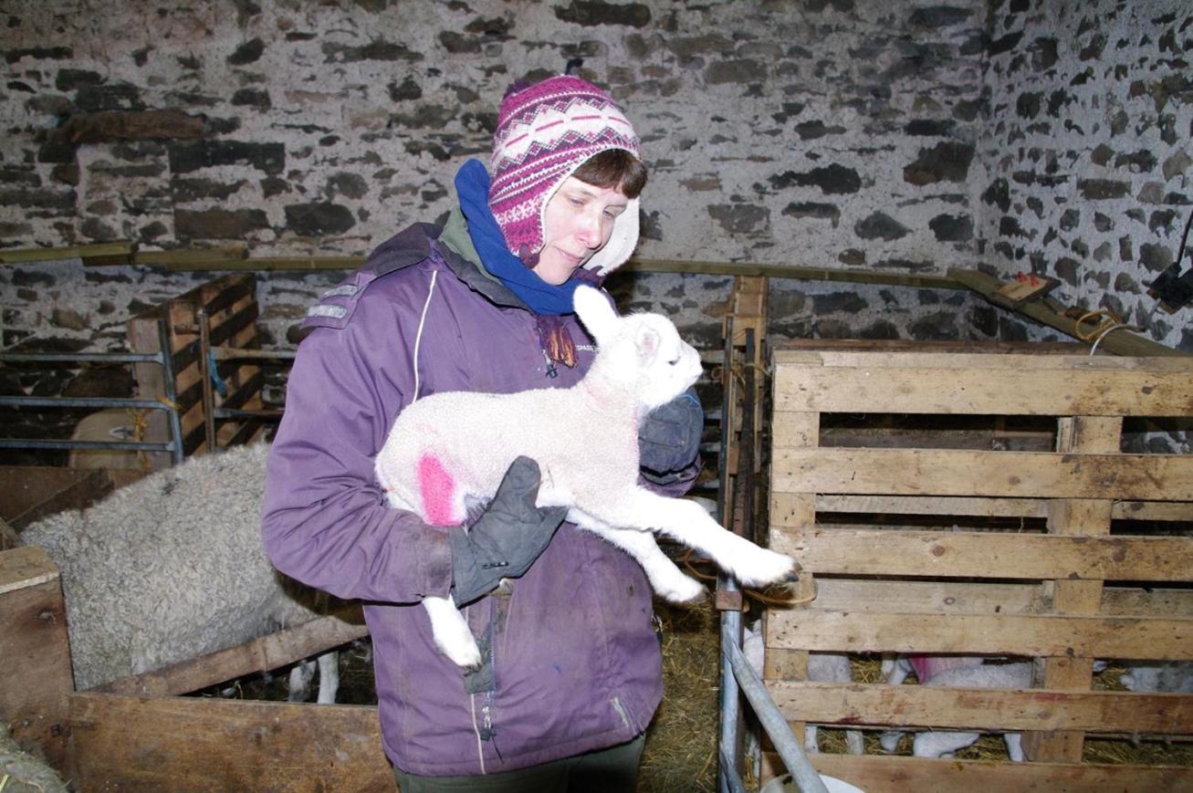 Villa Ullathorns Farm Kirkby Lonsdale Esterno foto